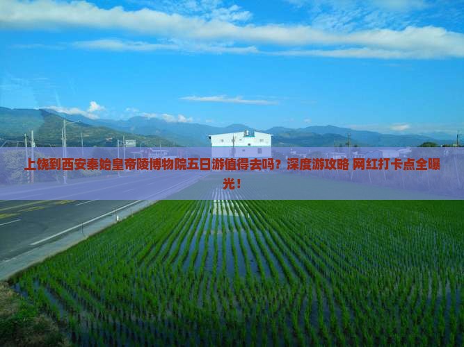 上饶到西安秦始皇帝陵博物院五日游