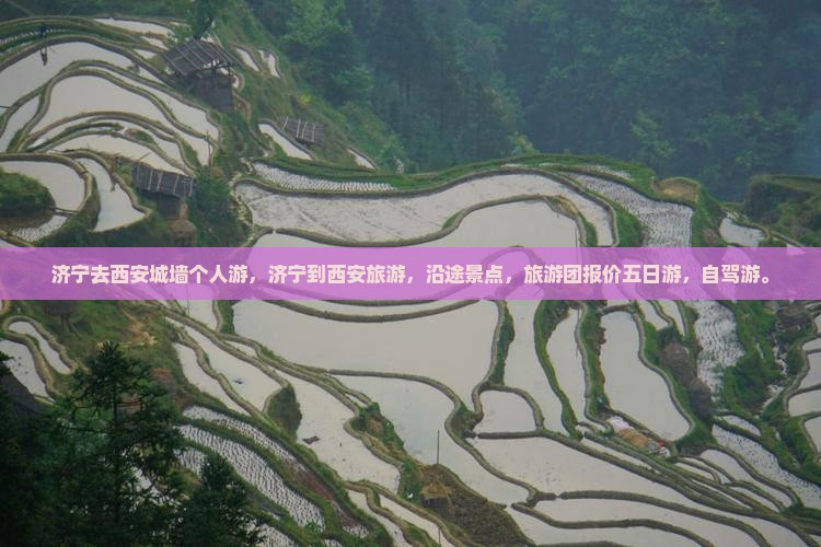 济宁去西安城墙个人游
