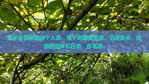 济宁去西安城墙个人游