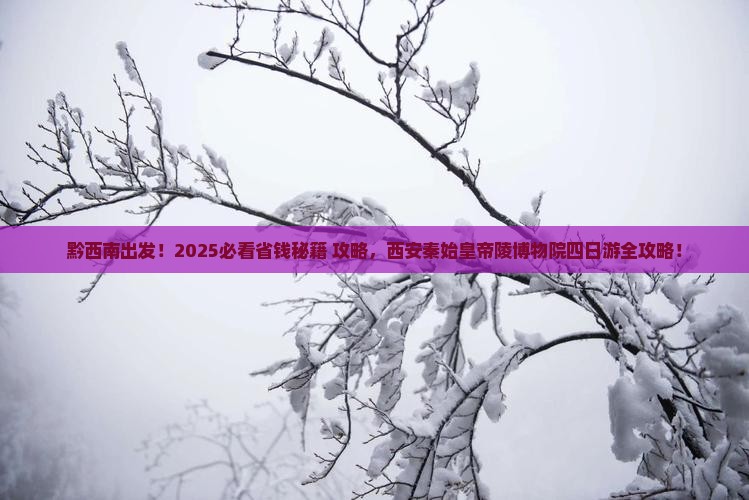黔西南去西安秦始皇帝陵博物院四日游
