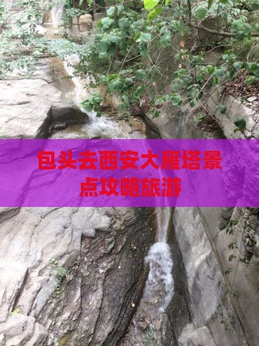 包头去西安大雁塔景点