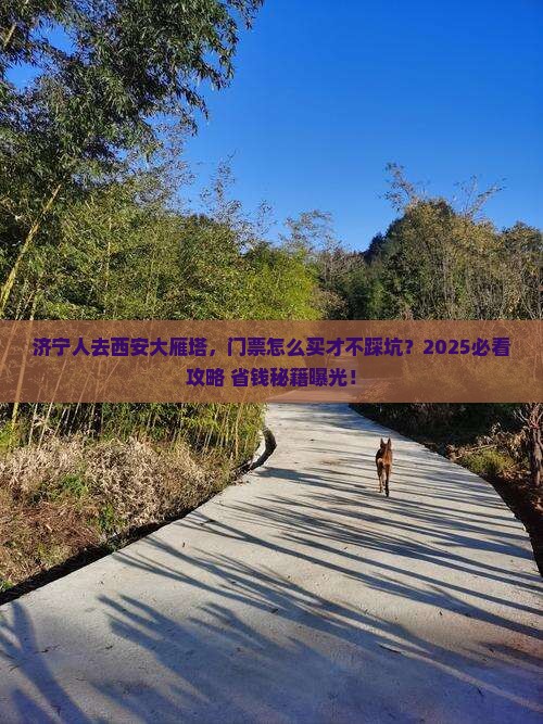 济宁去西安大雁塔门票