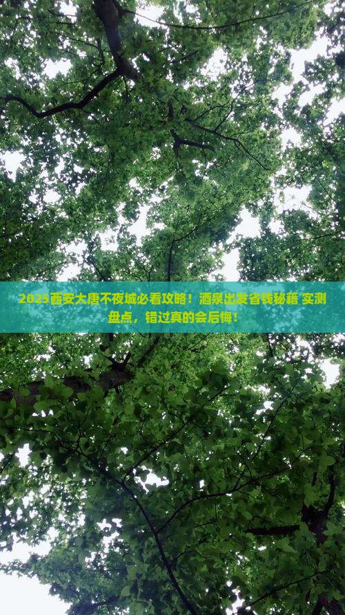 酒泉去西安大唐不夜城必去地 酒泉去西安大唐不夜城必去地