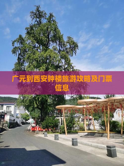 广元到西安钟楼门票