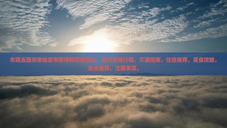 东莞去西安秦始皇帝陵博物院哪里玩