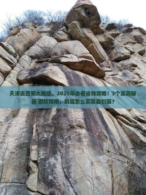 天津到西安大雁塔门票