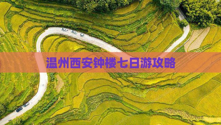 温州到西安钟楼七日游