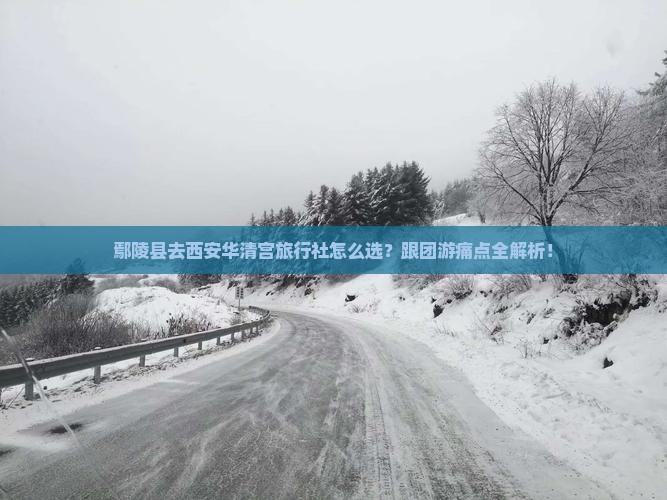 鄢陵县去西安华清宫旅行社