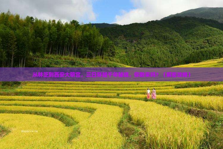 林芝到西安大明宫国家遗址公园三日游