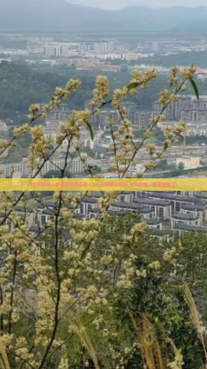 郴州到西安城墙哪里玩