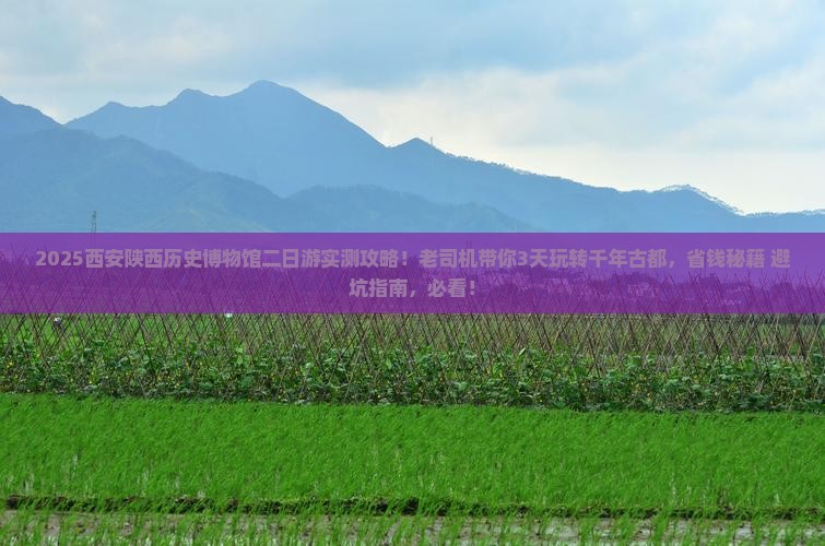 阜新去西安陕西历史博物馆二日游