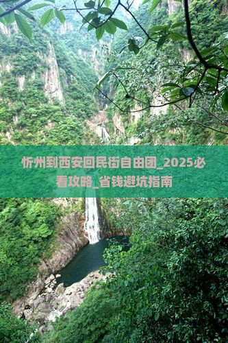 忻州到西安回民街自由团 忻州到西安回民街自由团