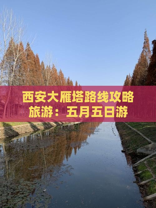 五月去西安大雁塔五日游