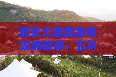 五月去西安大雁塔五日游