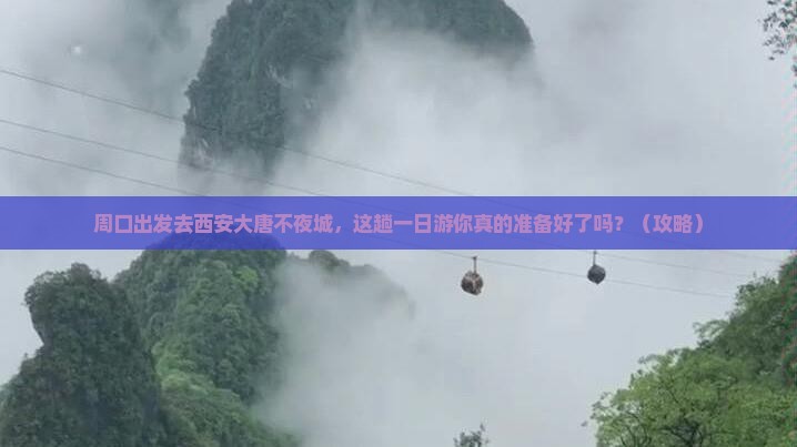周口去西安大唐不夜城一日游