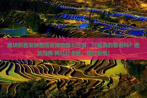潍坊到西安陕西历史博物馆七日游