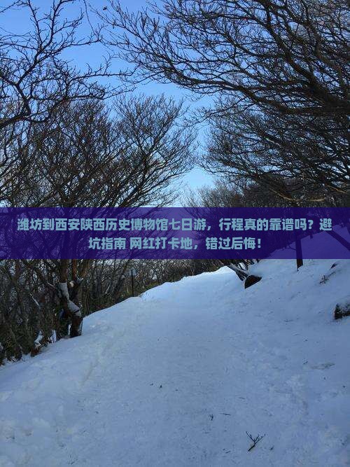 潍坊到西安陕西历史博物馆七日游