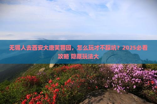 无锡去西安大唐芙蓉园哪里玩