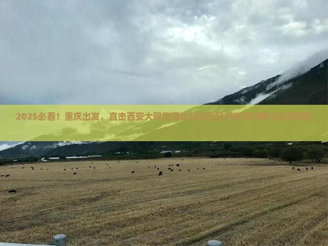 重庆到西安大明宫国家遗址公园五日游
