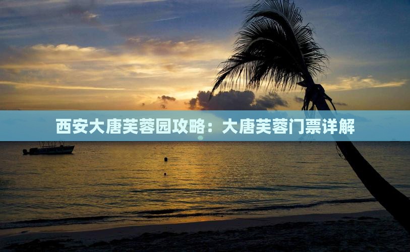 钦州去西安大唐芙蓉园门票