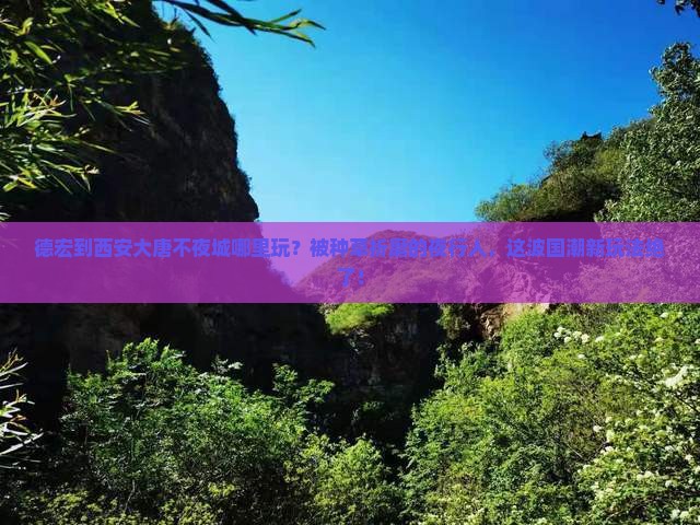 德宏到西安大唐不夜城哪里玩