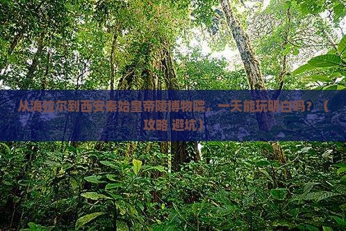 海拉尔去西安秦始皇帝陵博物院一日游