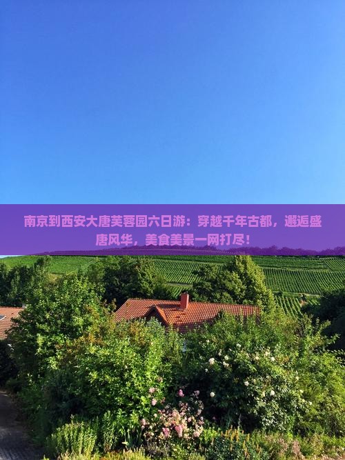 南京到西安大唐芙蓉园六日游