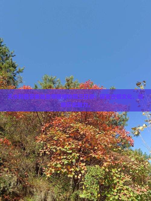 天水到西安秦始皇帝陵博物院三日游