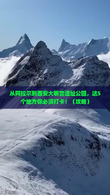 阿拉尔到西安大明宫国家遗址公园必去地