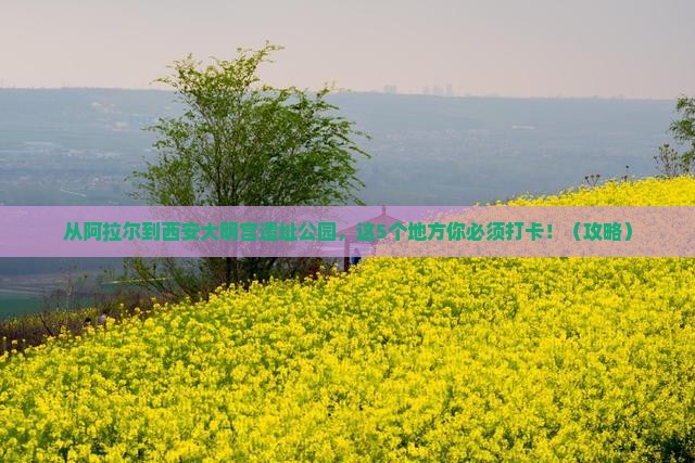 阿拉尔到西安大明宫国家遗址公园必去地