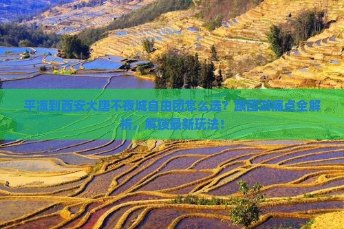 平凉到西安大唐不夜城自由团