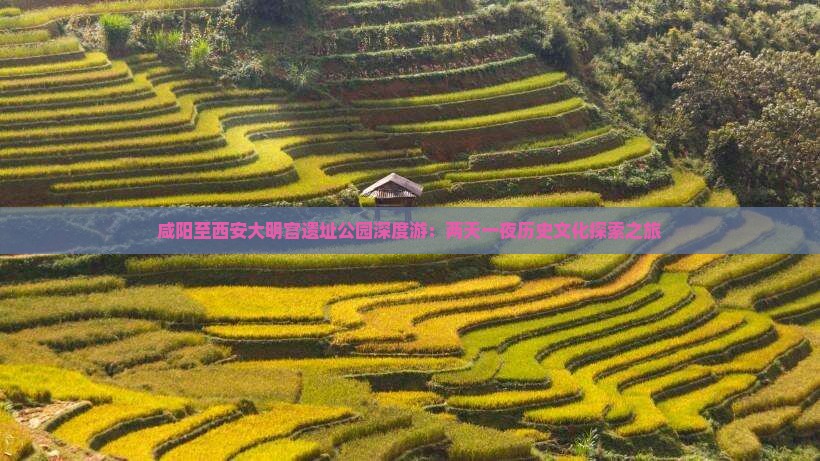 咸阳至西安大明宫遗址公园深度游：两天一夜历史文化探索之旅