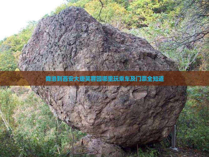 商洛到西安大唐芙蓉园哪里玩乘车及门票全知道
