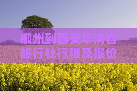 柳州到西安华清宫旅行社行程及报价
