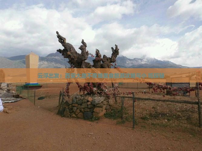 云浮出发：西安大唐不夜城美食旅游攻略与小 吃探秘