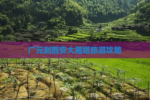 广元到西安大雁塔旅游攻略
