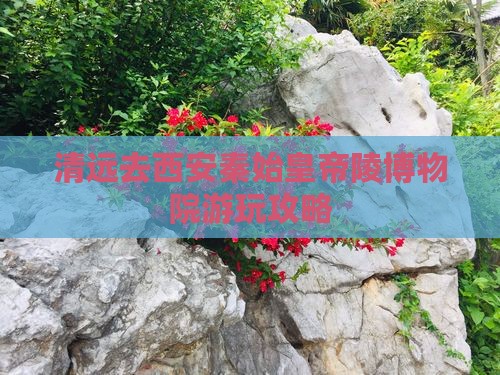 清远去西安秦始皇帝陵博物院游玩攻略
