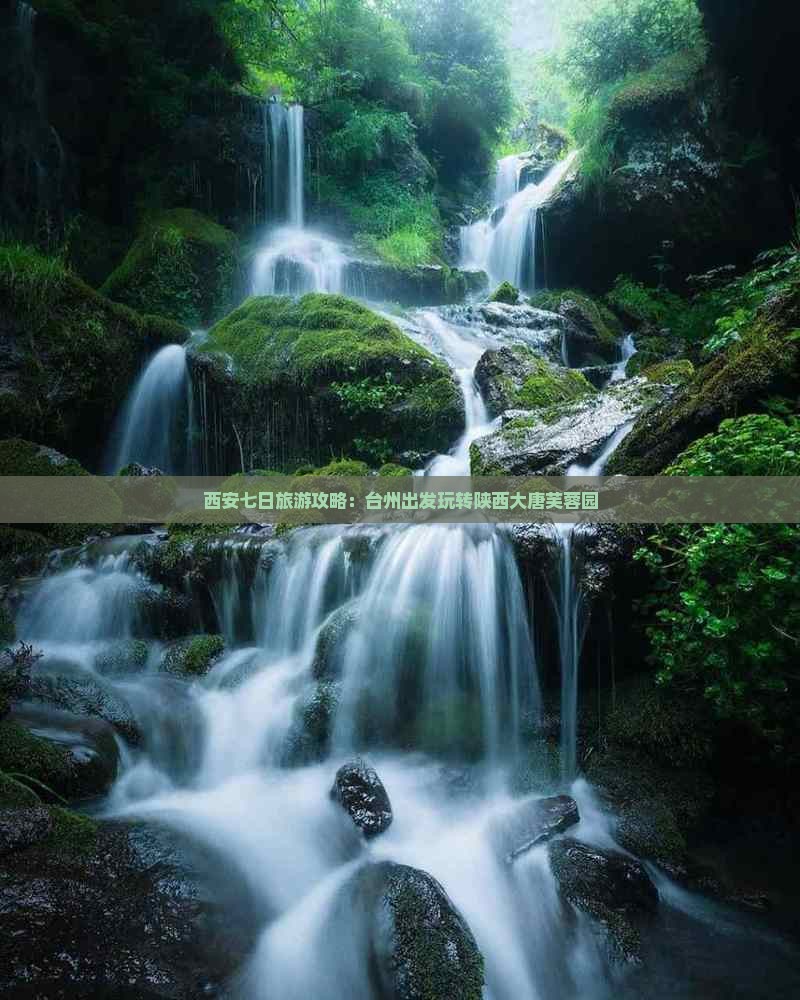 西安七日旅游攻略：台州出发玩转陕西大唐芙蓉园
