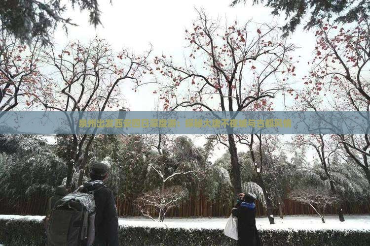 泉州出发西安四日深度游：探秘大唐不夜城与古都风情