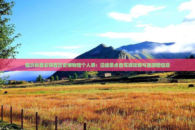 临沂到西安陕西历史博物馆个人游：沿途景点自驾游攻略与旅游团信息