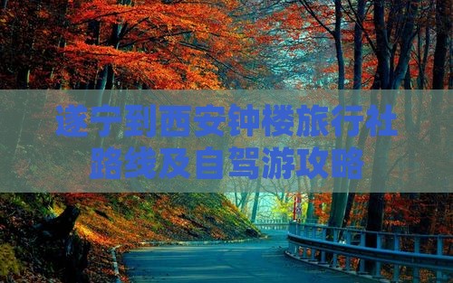 遂宁到西安钟楼旅行社路线及自驾游攻略