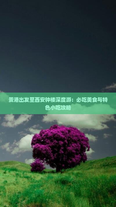 贵港出发至西安钟楼深度游：必吃美食与特色小吃攻略