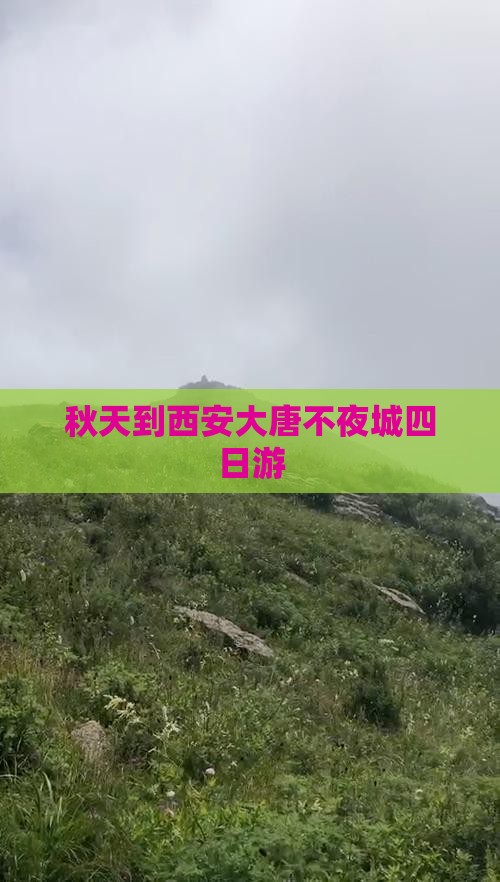秋天到西安大唐不夜城四日游