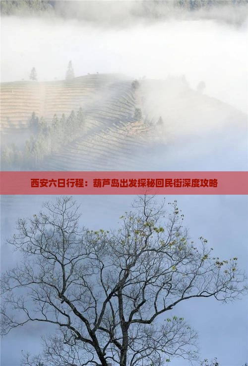 西安六日行程：葫芦岛出发探秘回民街深度攻略