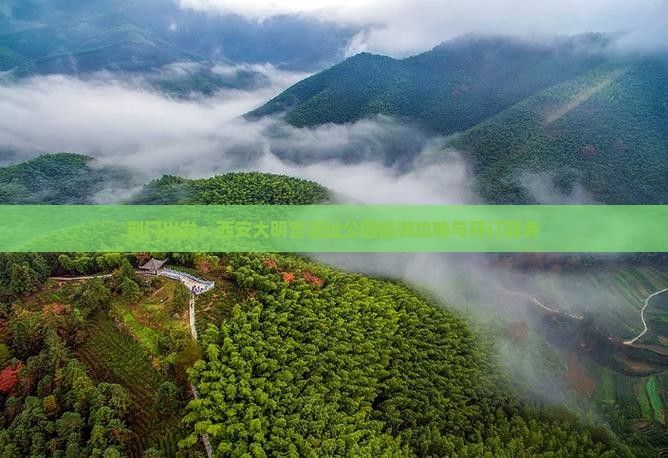 荆门出发：西安大明宫遗址公园旅游攻略与预订服务