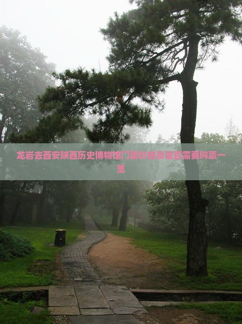 龙岩去西安陕西历史博物馆门票价格及是否需要购票一览