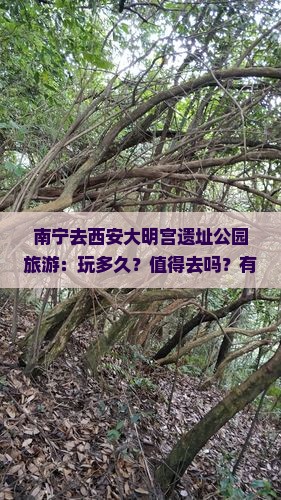 南宁去西安大明宫遗址公园旅游：玩多久？值得去吗？有什么好玩的？