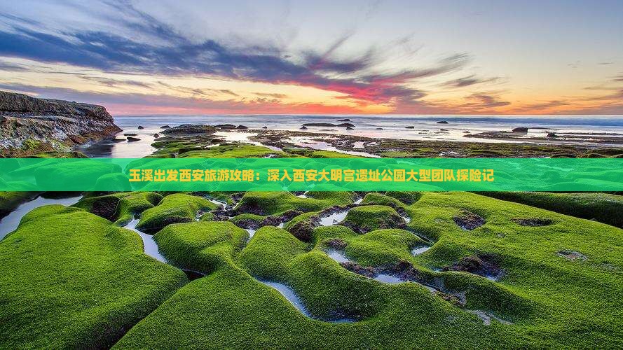 玉溪出发西安旅游攻略：深入西安大明宫遗址公园大型团队探险记