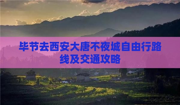 毕节去西安大唐不夜城自由行路线及交通攻略