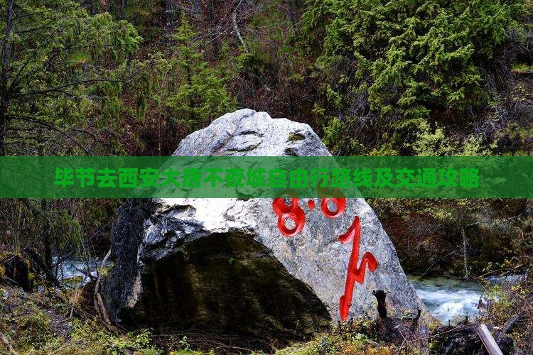 毕节去西安大唐不夜城自由行路线及交通攻略